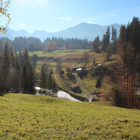 Hundetreffen 2016 im Allgäu (13)